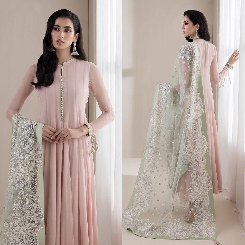 Pastel chiffon gown with organza dupatta!